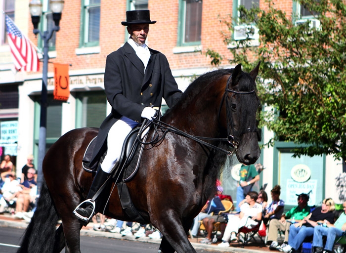 allhorseparade